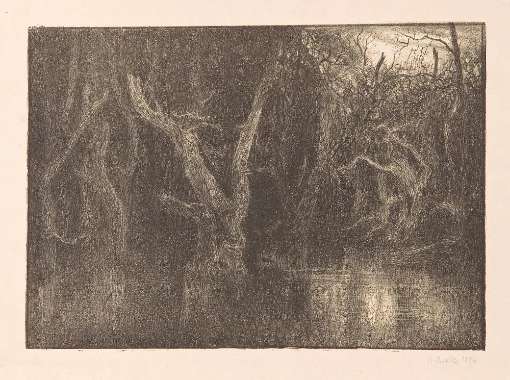 Foresta oscura, 1896
